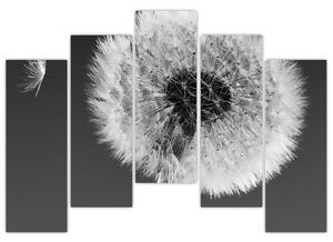 Odkvitnutá púpava - obraz kvetín (Obraz 125x90cm)