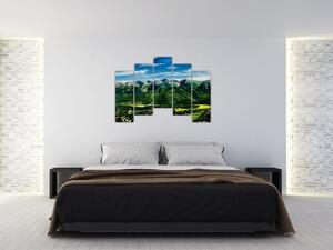 Obraz - panoráma hôr (Obraz 125x90cm)