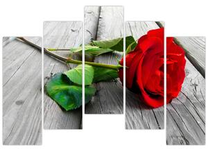 Ruža červená - obraz (Obraz 125x90cm)
