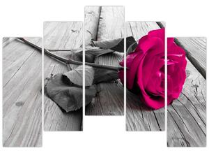 Ruže fialová - obraz (Obraz 125x90cm)