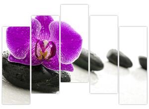Orchidea - obraz (Obraz 125x90cm)