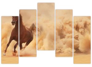 Cválajúci kôň - obraz (Obraz 125x90cm)