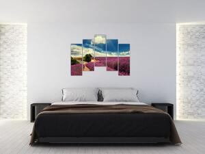 Levanduľové polia - obraz (Obraz 125x90cm)