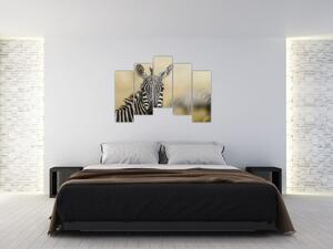 Zebra - obraz (Obraz 125x90cm)