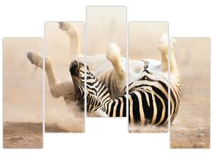 Obraz zebry (Obraz 125x90cm)