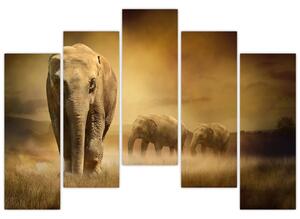 Obraz slona (Obraz 125x90cm)