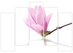 Kvet - obraz (Obraz 125x90cm)