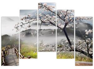 Sakura - obraz (Obraz 125x90cm)
