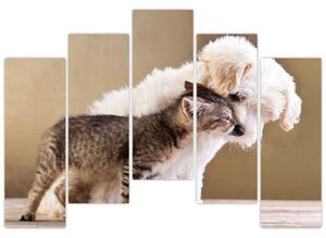 Mačiatko a šteňa - obraz (Obraz 125x90cm)