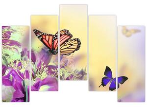 Motýle - obraz (Obraz 125x90cm)
