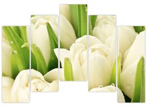 Detail tulipánov - obraz (Obraz 125x90cm)