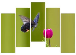 Motýľ - obraz (Obraz 125x90cm)