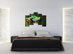 Žaba - obraz (Obraz 125x90cm)