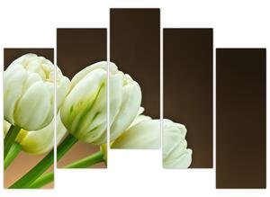 Tulipány - obraz (Obraz 125x90cm)
