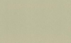 RASCH | Vliesová tapeta na stenu Novella XL 983562 | 1,06 x 10,05 m | zelená, biela