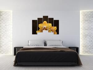 Obraz orchidey (Obraz 125x90cm)