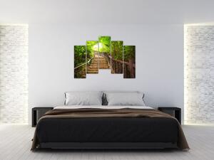 Schody v lese - obraz (Obraz 125x90cm)