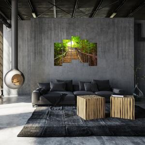 Schody v lese - obraz (Obraz 125x90cm)