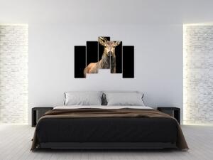 Jelen - obraz (Obraz 125x90cm)