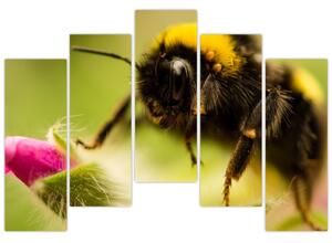 Včela - obraz (Obraz 125x90cm)
