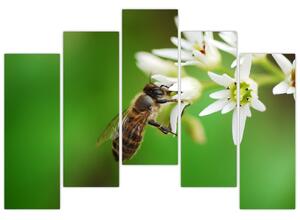 Fotka včely - obraz (Obraz 125x90cm)