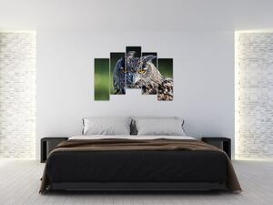Sova - obraz (Obraz 125x90cm)