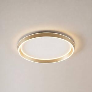 Lucande Stropné LED svetlo Rylan, mosadz, Ø 62 cm, stmievateľné s reguláciou, Mosadz / zlato, Obývacia izba / jedáleň, kov, Moderný, Závesné svietidlo