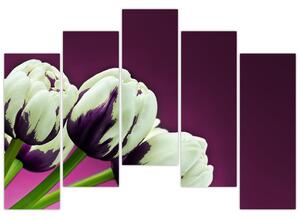 Makro tulipánov - obraz (Obraz 125x90cm)