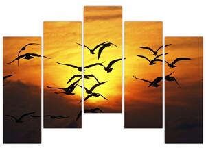 Obraz letiacich vtákov (Obraz 125x90cm)