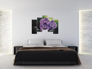 Obraz kvetov orchidey (Obraz 125x90cm)