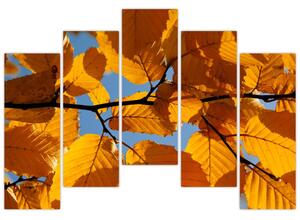 Jesenné lístie - obraz (Obraz 125x90cm)