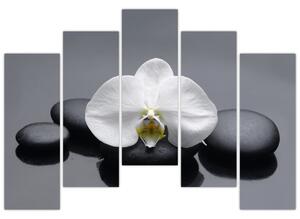 Kvet orchidey - moderný obraz (Obraz 125x90cm)