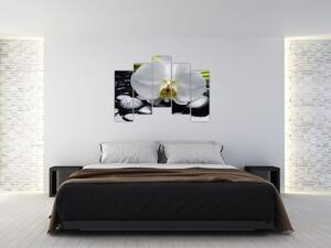 Kvet orchidey - obraz na stenu (Obraz 125x90cm)