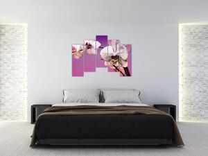 Moderné obrazy - orchidea (Obraz 125x90cm)