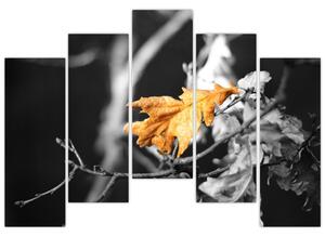 Obraz - prichádzajúce jeseň (Obraz 125x90cm)