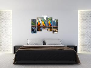 Obraz - papagáje (Obraz 125x90cm)
