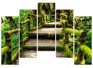 Schody v záhrade - obraz (Obraz 125x90cm)