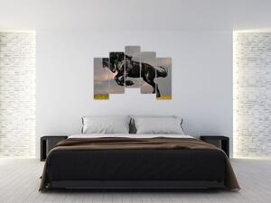 Čierny kôň, obraz (Obraz 125x90cm)