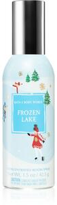 Bath & Body Works Frozen Lake bytový sprej 42,5 g
