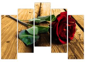 Ležiaci ruža - obraz (Obraz 125x90cm)