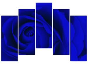 Detail modré ruže - obraz (Obraz 125x90cm)