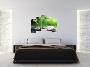 Relaxačný obraz na stenu (Obraz 125x90cm)