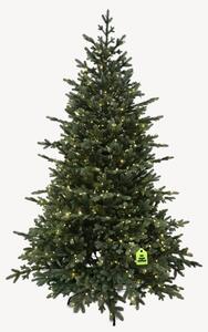 Smrek Exclusive 100 % 300 LED 150 cm