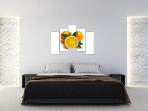 Pomaranče - obraz (Obraz 125x90cm)