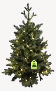 Smrek Modrý 100 LED 90 cm