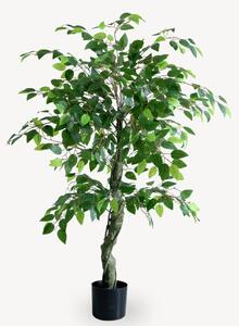 Umelý Fikus Viacposchodový 150 cm