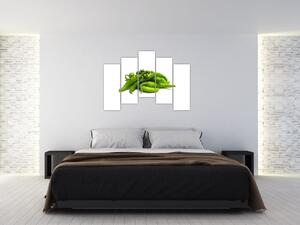 Zelené papričky - obraz (Obraz 125x90cm)