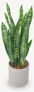 Umelá Sansevieria 60 cm