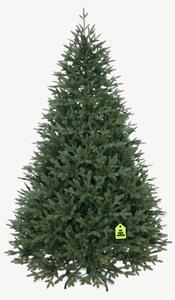 Smrek Kanadský 100% 150 cm