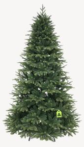 Smrek Himalájsky 150 cm